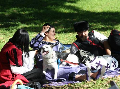 49656077553 7ede6d4b28 c