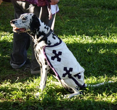 49656347107 fb437d4a97 c