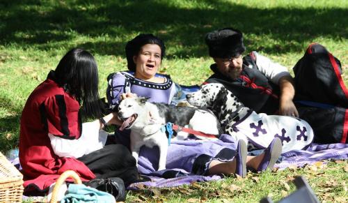 49656612976 7dfcf195d7 c